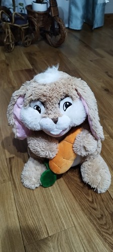 Rabbit big plush - rabbit,