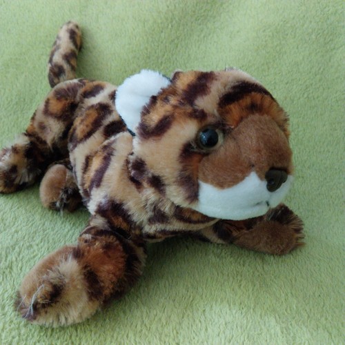Animal planet leopard - animal,