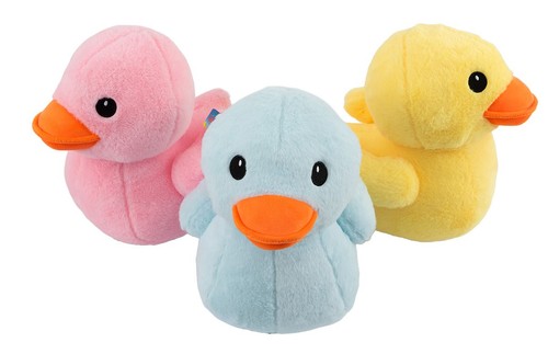 Adorable vibrant coloured - adorable,