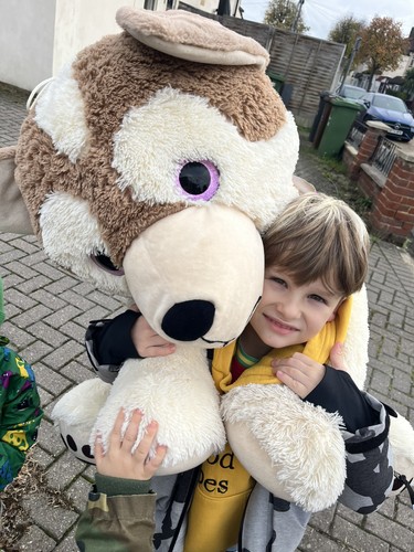Giant big husky dog - big,