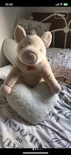 Cuddle pig you - babe), want
