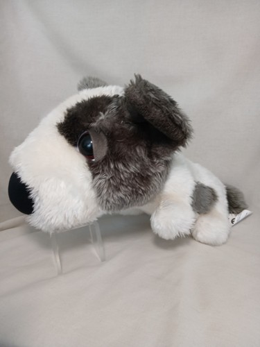 One big head - big, dog